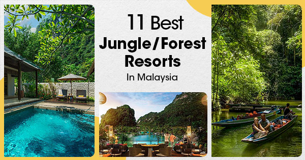 11 Best Jungle Forest Resorts In Malaysia