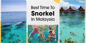 Check out our guide for the best times to go snorkelling in Malaysia for an unforgettable experience.