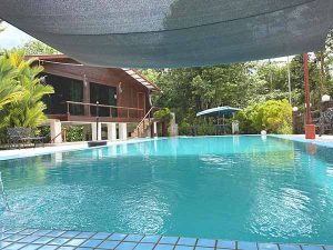 Dusuntara Jungle Resort Pool