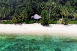 Rimba Resort Dive Centre and Spa
