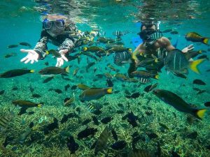 Snorkelling in Alunan Resort